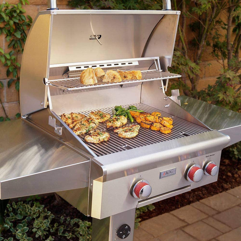 American Outdoor Grill L-Series - 24-Inch 2-Burner Freestanding Grill with Rotisserie on In-Ground Post - Natural Gas Grill - AOG24NGL